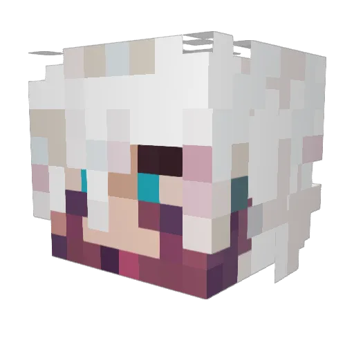 Darkoverlord605 Minecraft avatar head, 3D render
