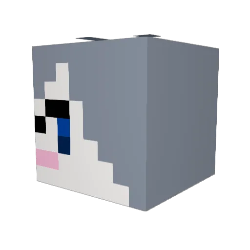 Darkraiftw Minecraft avatar head, 3D render