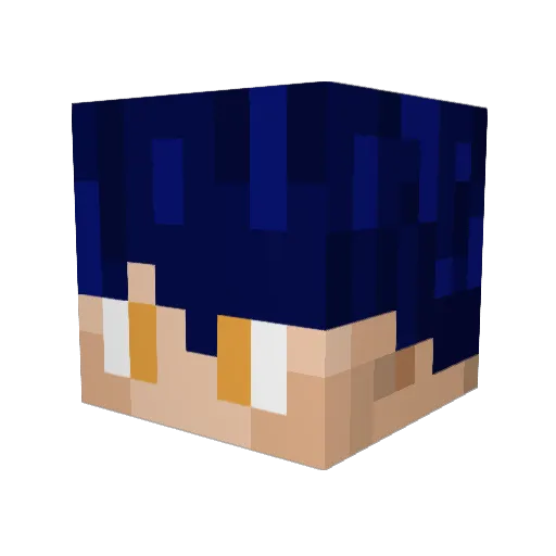 Darkrail_15 Minecraft avatar head, 3D render