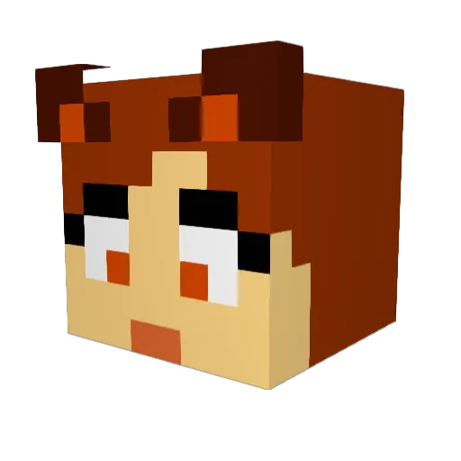 Darkrainb0w Minecraft avatar head, 3D render