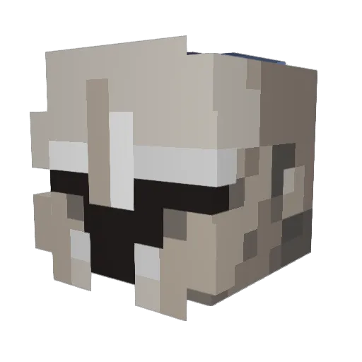 Darkraiso Minecraft avatar head, 3D render