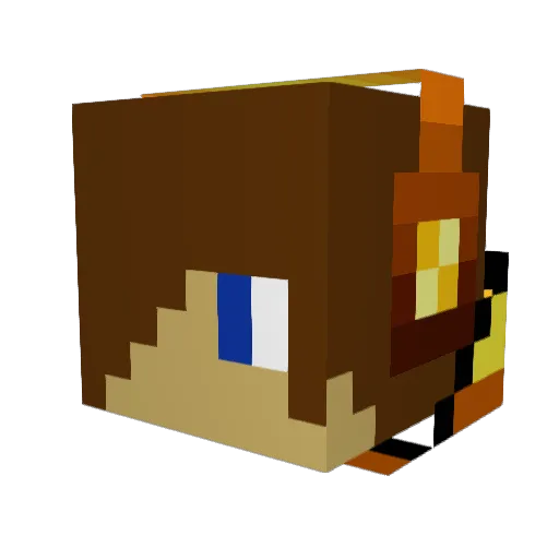 Darkrider751 Minecraft avatar head, 3D render