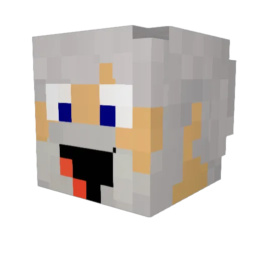 Darkronion Minecraft avatar head, 3D render