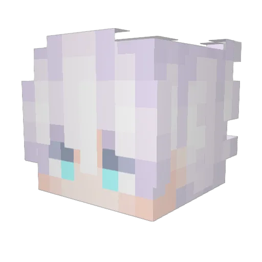 DarksFlopix Minecraft avatar head, 3D render