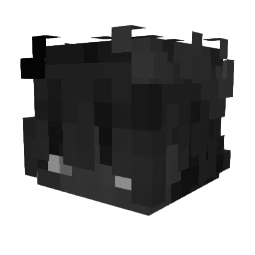 Darkschiggy03 Minecraft avatar head, 3D render