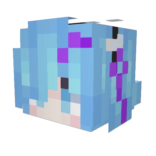 Darkshroud32 Minecraft avatar head, 3D render