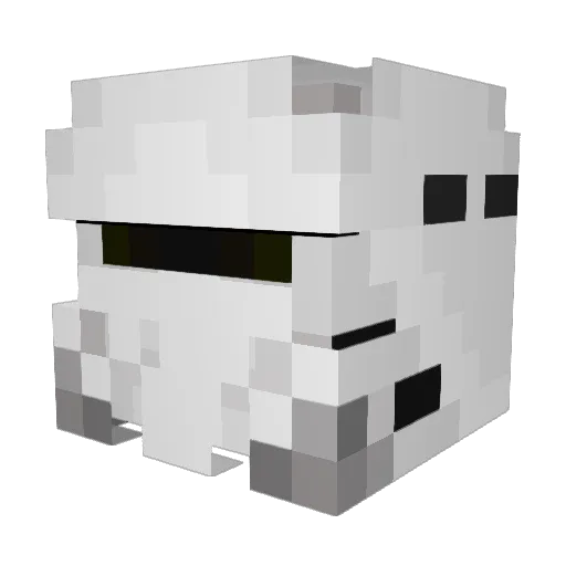 Darkside0505 Minecraft avatar head, 3D render