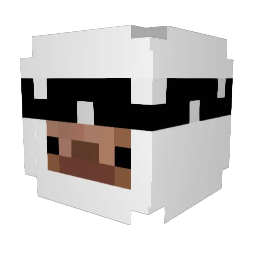 Darkside3276 Minecraft avatar head, 3D render