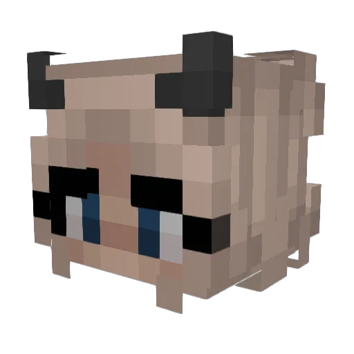 Darkside464 Minecraft avatar head, 3D render