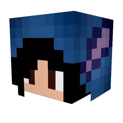 Darksky1719 Minecraft avatar head, 3D render
