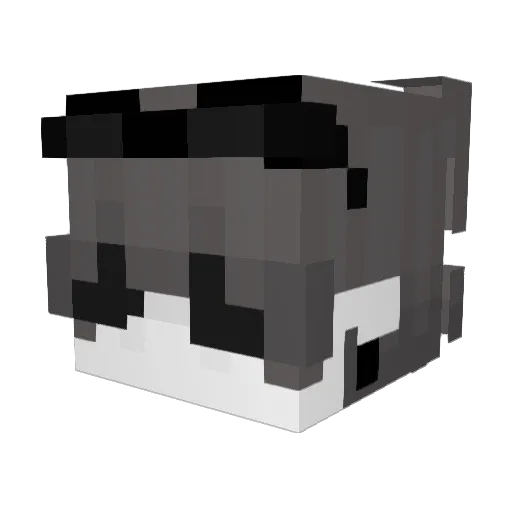 Darksoul0223 Minecraft avatar head, 3D render