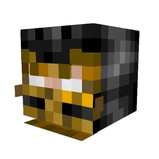 Darkstalker8288 Minecraft avatar head, 3D render