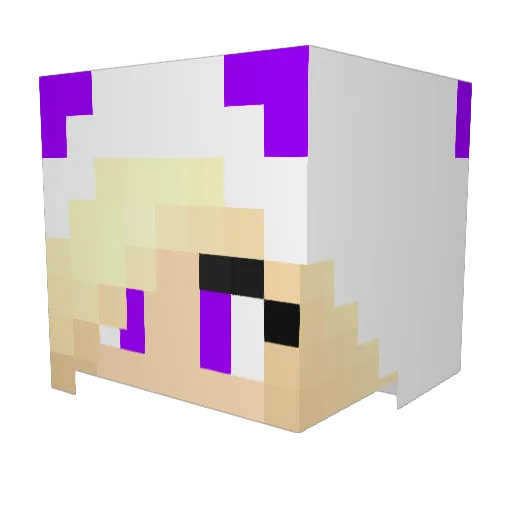 Darkstar2136 Minecraft avatar head, 3D render