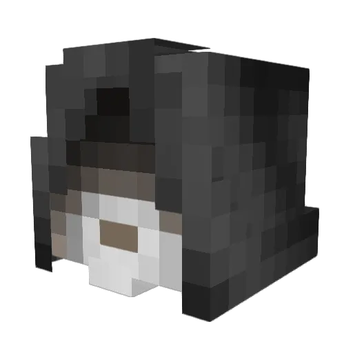Darkstop Minecraft avatar head, 3D render