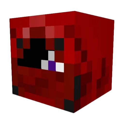 Darkturtle98 Minecraft avatar head, 3D render