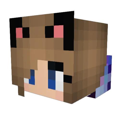 Darkw0lf5 Minecraft avatar head, 3D render