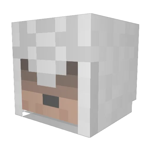 Darkwiwi Minecraft avatar head, 3D render