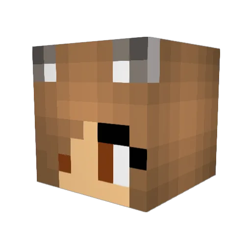 Darkwolf4070 Minecraft avatar head, 3D render