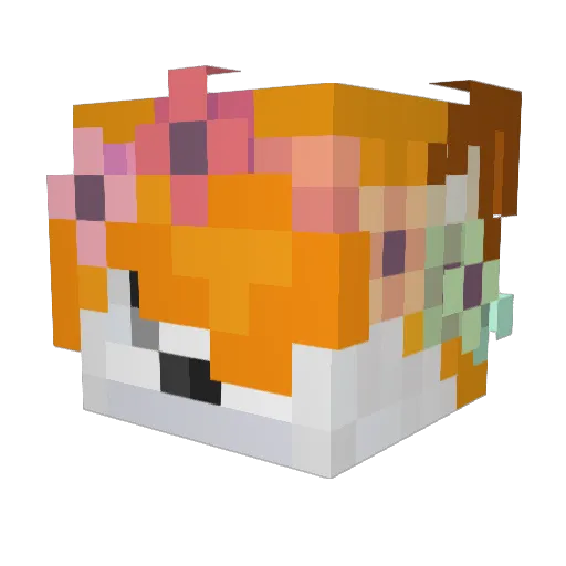 Darkwolfie12 Minecraft avatar head, 3D render