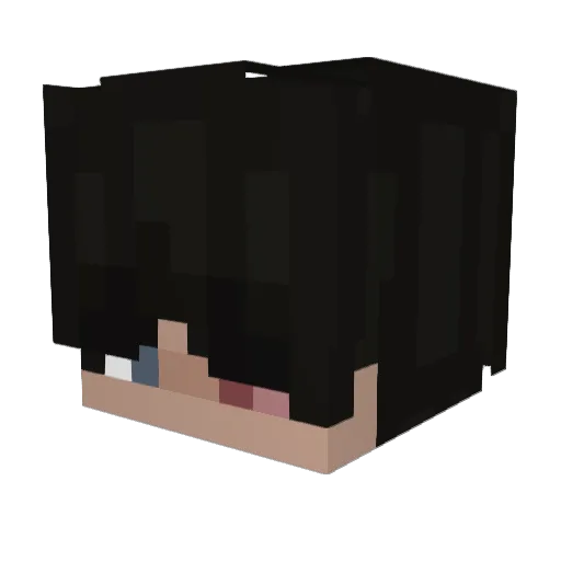 DarkxSun Minecraft avatar head, 3D render