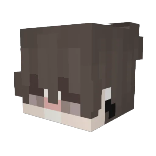 DarkyOnYT Minecraft avatar head, 3D render