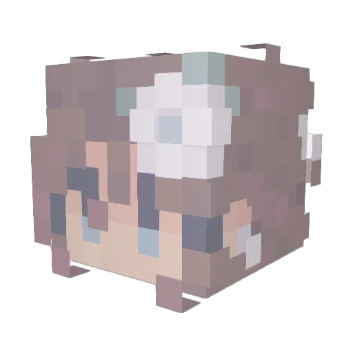 DarkyZonian Minecraft avatar head, 3D render