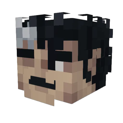 Darkyy_Wolf Minecraft avatar head, 3D render