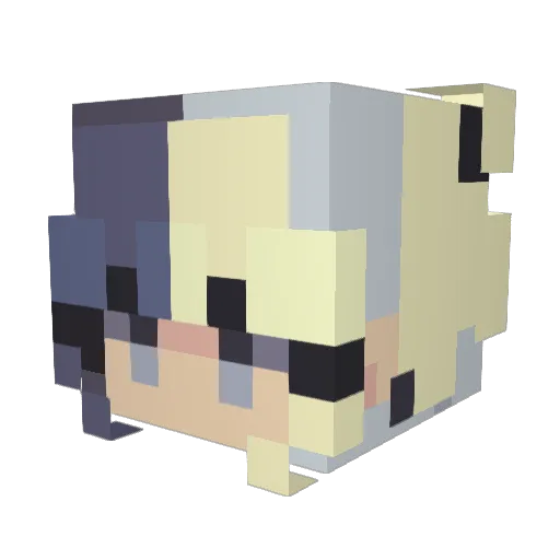 Darkzin_17 Minecraft avatar head, 3D render