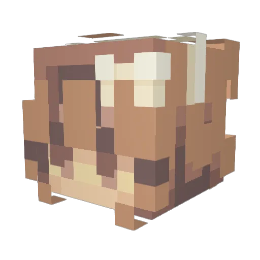 Darling003 Minecraft avatar head, 3D render