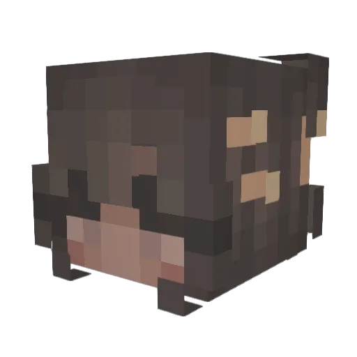 Darling189 Minecraft avatar head, 3D render