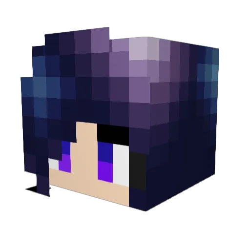 Darling2234 Minecraft avatar head, 3D render