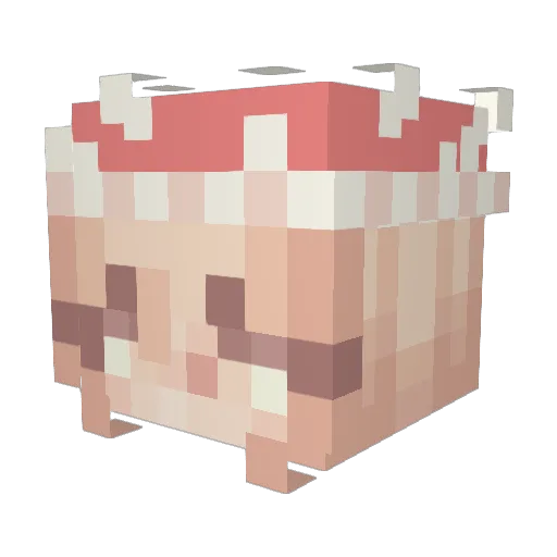 DarlingShroom Minecraft avatar head, 3D render