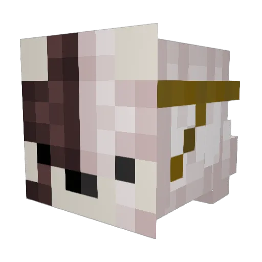Darling_Maine Minecraft avatar head, 3D render