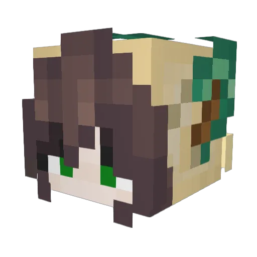 Darling_Otter Minecraft avatar head, 3D render