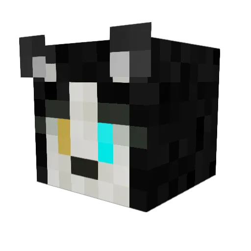 DarnBannedAgain Minecraft avatar head, 3D render