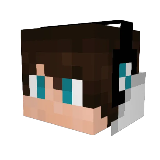Darnell02 Minecraft avatar head, 3D render