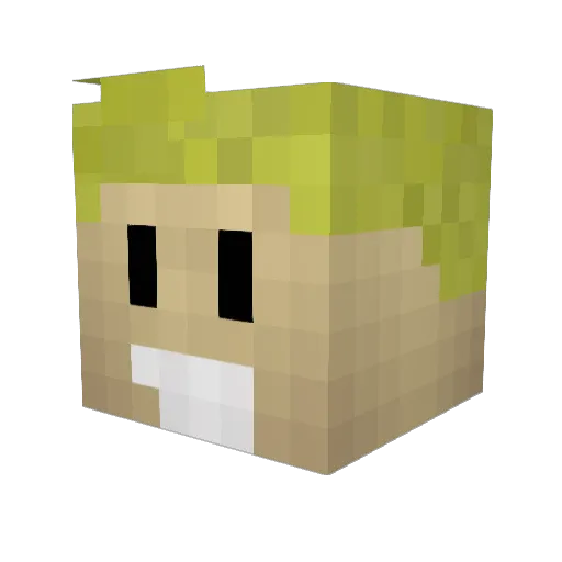 DarnellDelano Minecraft avatar head, 3D render