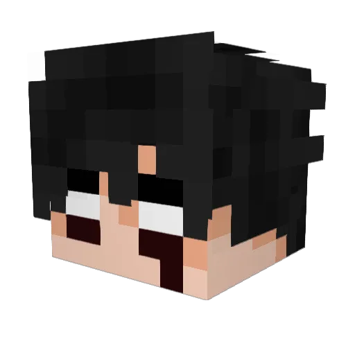 Darnell_LOL Minecraft avatar head, 3D render