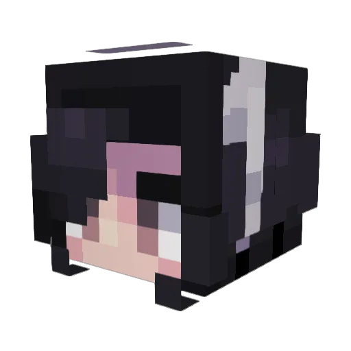 Darnile Minecraft avatar head, 3D render