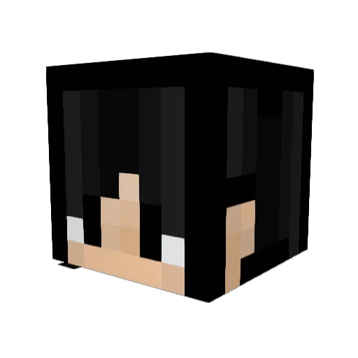 DaroX29X Minecraft avatar head, 3D render