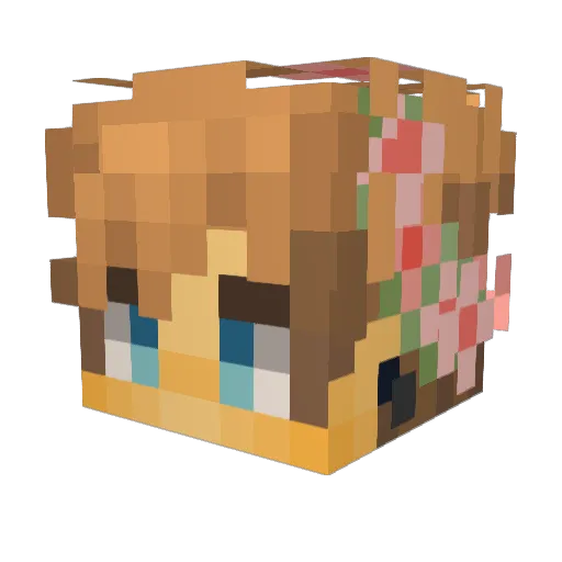 Darodiir Minecraft avatar head, 3D render