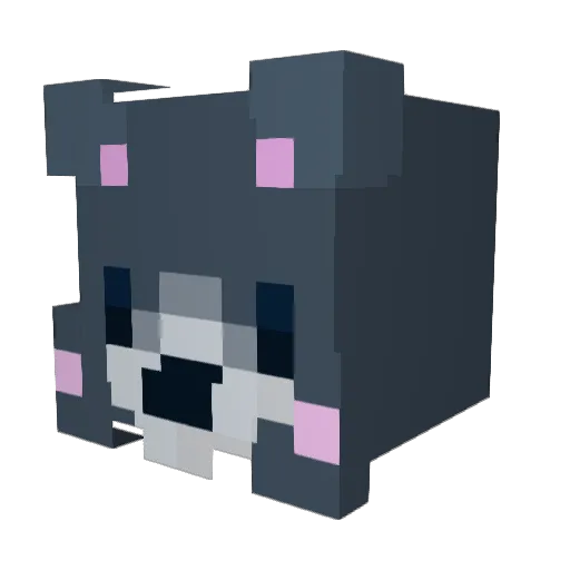 Darolly Minecraft avatar head, 3D render