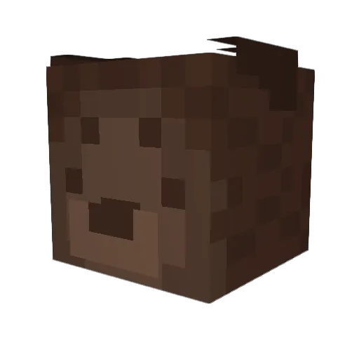 Daroshiin Minecraft avatar head, 3D render