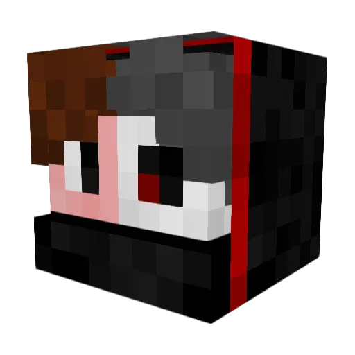 Darox505 Minecraft avatar head, 3D render