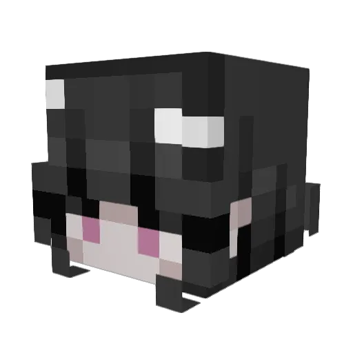 Darpon99 Minecraft avatar head, 3D render