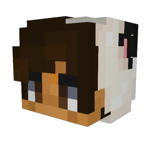 DarrkArrt3O Minecraft avatar head, 3D render
