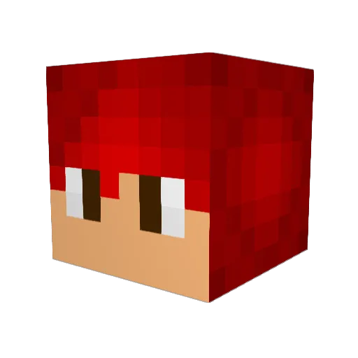 Darsh1409 Minecraft avatar head, 3D render