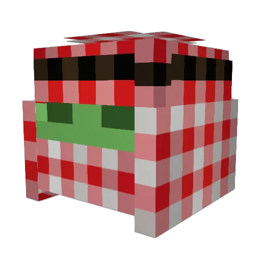 Darshu123 Minecraft avatar head, 3D render