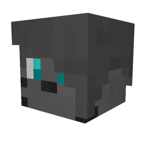 DartKitten Minecraft avatar head, 3D render