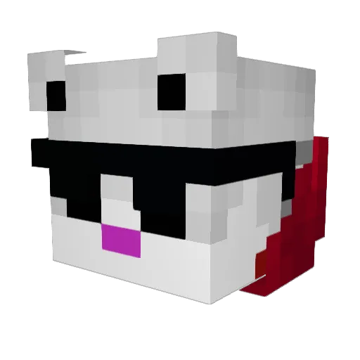 DartaKill11 Minecraft avatar head, 3D render